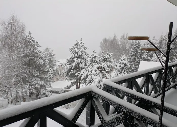 Silverpine, * 科帕奥尼克